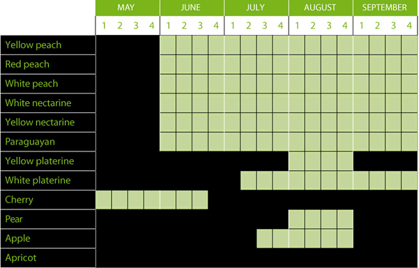 Havest timing: Yellow peach, Red peach, White peach, White nectarine, Yellow nectarine, Paraguayan, Yellow platerine, White platerine, Cherry, Pear, Apple and Apricot