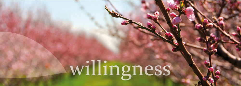 willingnes