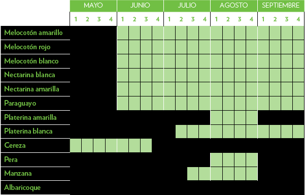 Calendario de producci&oacute;n: Melocoton amarillo, Melocoton rojo, Melocoton blanco, Nectarina blanca, Nectarina amarilla, Paraguayo, Platerina amarilla, Platerina blanca, Cereza, Pera, Manzana y Albaricoque