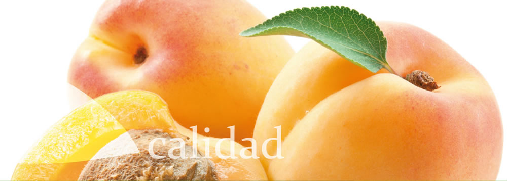 Calidad